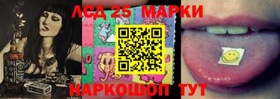 Альфа ПВП Донецк