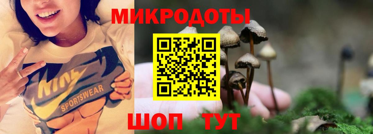 Карасук  Галлюциногенные грибы Cubensis  Вход с VPN  Псилоцибиновые грибы GOLDEN TEACHER 